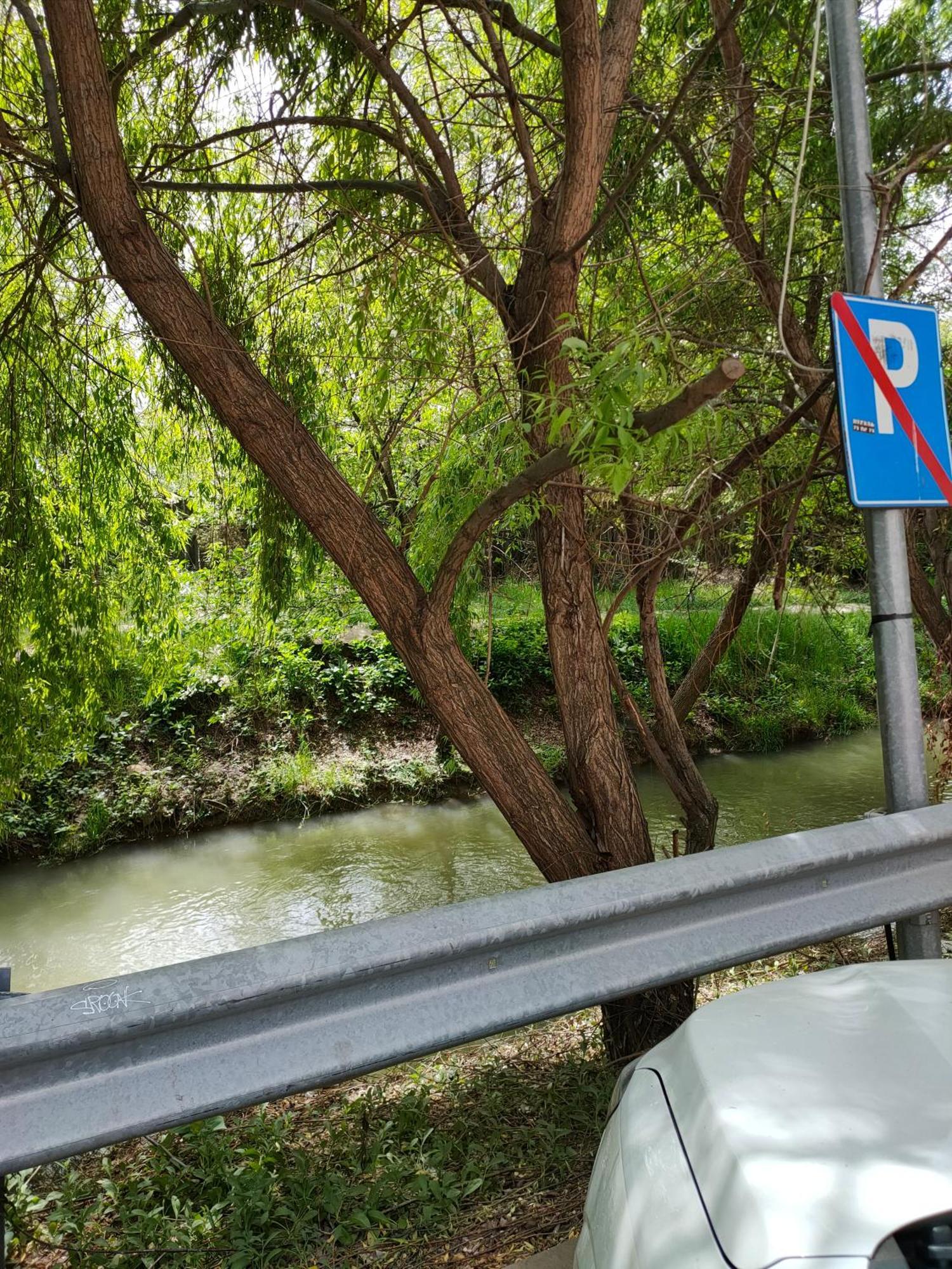 Cozy Apartment Bucharest Roşu Exteriör bild